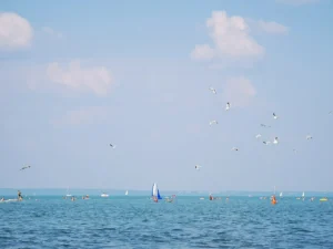 Irány&nbsp;a Balaton!