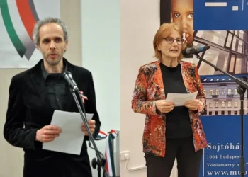 Hargitai Miklós nyílt levele, Kocsi Ilona válasza