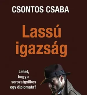 Csontos Csaba, Lassú igazság – egy igazi politikai krimi