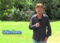 Elhunyt Szűcs Imre televíziós újságíró, az MTV és a Pécs TV egykori munkatársa