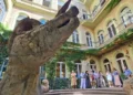 A könyvtár, ahol mindenki grófnak érezheti magát – A Szabó Ervin Könyvtárban jártunk