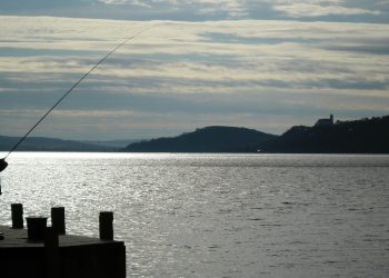 Fotó: Pixabay / Novák Katalin