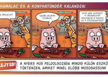 A MÚOSZ Karikaturista Szakosztályának válasza a Pesti Srácoknak