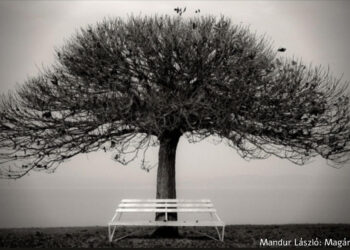 Mandur László (1958–2020)