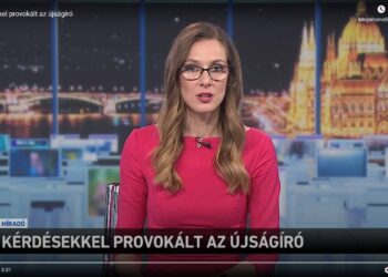 „Kérdésekkel provokált az újságíró” – Ausztriában felháborodtak az M1 riportján