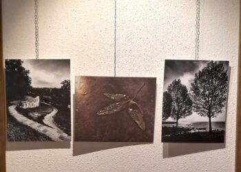 Egy kiállítás képei