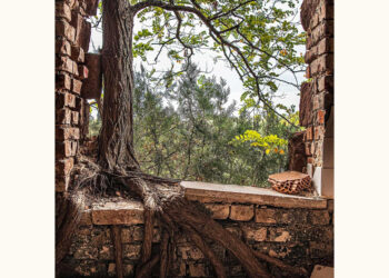 Meghívó fotókiállításra