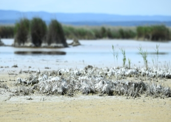 2022. szeptember 28. szerda