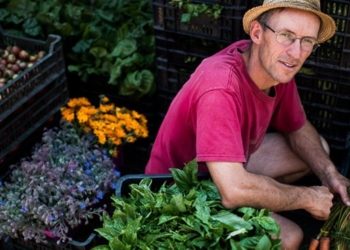 Egészséges program