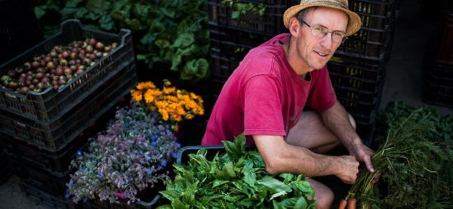 Két egészséges program