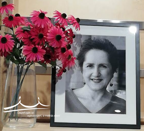 Pályázat Körtvélyes Éva újságírói díjra 2022