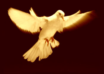 Közös nyilatkozat az emberséges közbeszéd határairól