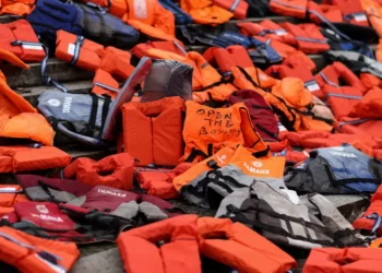 2022. november 15. kedd