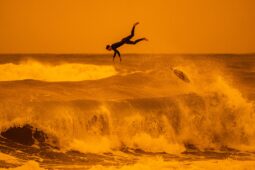 A 41. Magyar Sajtófotó Pályázat díjazottjai