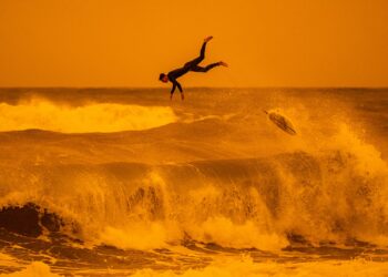 A 41. Magyar Sajtófotó Pályázat díjazottjai