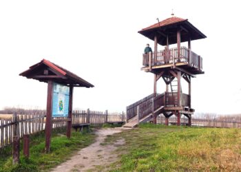 Polgár Zoltán: Vizes Élőhelyek Világnapja