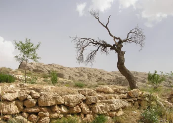 Sok öröm, egyszer szégyenkezés