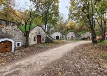 PÁTYOLGATÁS, avagy „megyen a hegyen a turista”