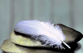 Mi áll a pszichoszomatikus betegségek hátterében?