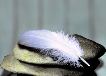 Mi áll a pszichoszomatikus betegségek hátterében?