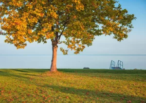 Ősszel is vár a Balaton