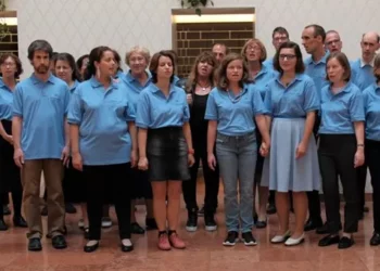 Szavazás mentorhálózatért