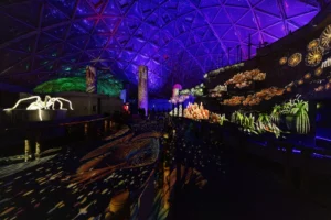 Exkluzív meghívó a Fénydóm 2. kiállításra és a Biodómba