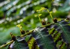 Füvészkerti látogatás a Kommunikációs és PR Szakosztállyal