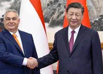 Másodfokon is a kínai szerződések kiadására kötelezte a közmédiát a bíróság