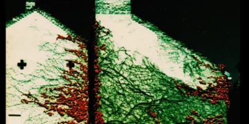 Gadányi György „Nálunk a munka becsület és dicsőség dolga” – fotókiállítás megnyitó