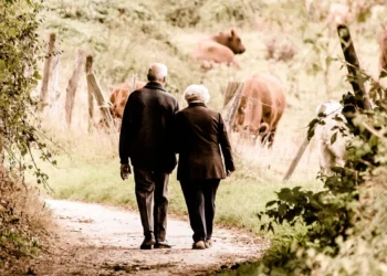 Megtörtént a tisztújítás az Idősügyi és Szociális Párbeszéd Szakosztályában