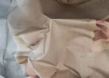 Kertész Imrére emlékezik meg Kemenesi Zsuzsanna kiállítása