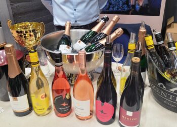 Újbor és Sajt Fesztiválon jártunk…