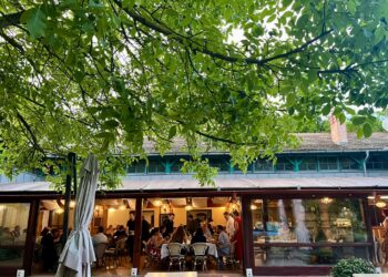 Egy hajóban eveznek 